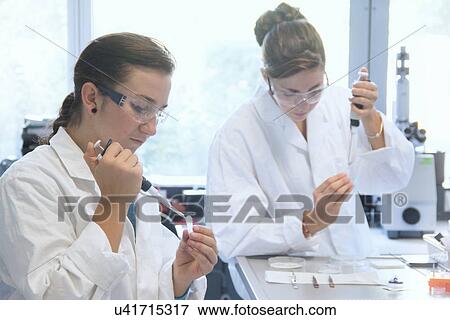 Biology students working with pipettes in lab View Large Photo Image Stock Photo - Biology students working with pipettes in lab. Fotosearch