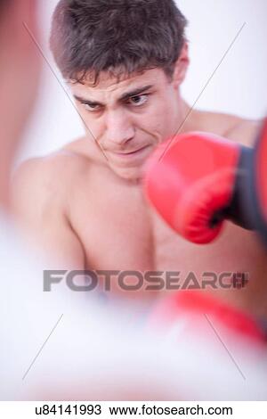 Close up portrait of boxer View Large Photo Image Stock Image - Close up portrait of boxer. Fotosearch