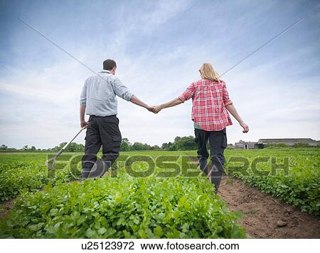 Couple holding hands on farm View Large Photo Image Stock Image - Couple holding hands on farm. Fotosearch