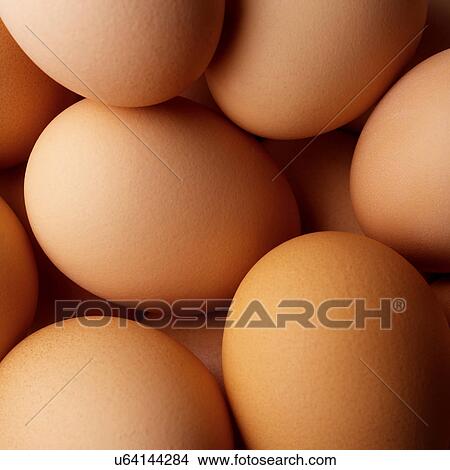 Eggs View Large Photo Image Picture - Eggs. Fotosearch