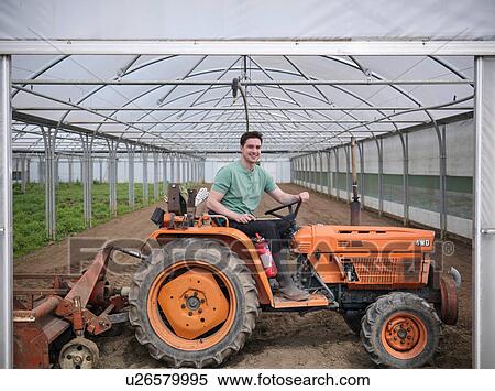 Farm worker on tractor in polytunnel View Large Photo Image Stock Photography - Farm worker on tractor in polytunnel. Fotosearch