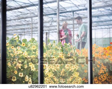 Stock Image - Farm workers discussing in greenhouse. Fotosearch