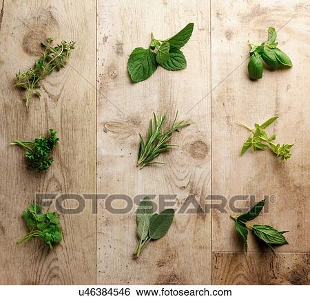 Stock Photograph - Fresh herbs. Fotosearch
