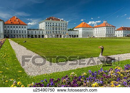 Goose in garden in front of the Nymphenburg Palace. Munich, Bavaria, Germany View Large Photo Image Stock Image - Goose in garden in front of the Nymphenburg Palace. Munich, Bavaria, Germany. Fotosearch