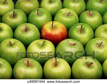 Picture - Group of green apples with one red apple. Fotosearch