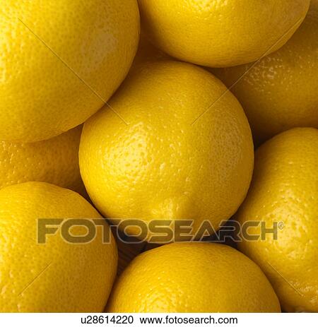Group of lemons View Large Photo Image Stock Image - Group of lemons. Fotosearch