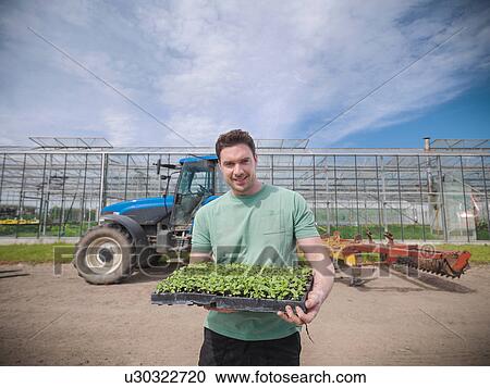 Stock Image - Herb farmer with tray of seedlings. Fotosearch