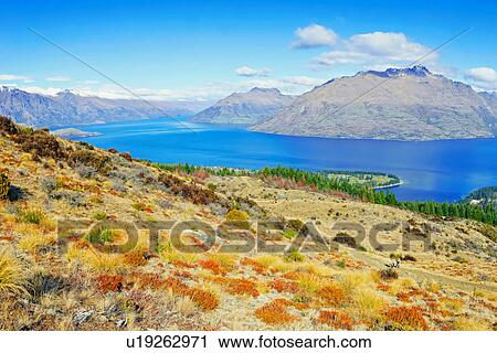 Lake Wakatipu and Remarkables Mountain Range, Queenstown, South Island, New Zealand View Large Photo Image Stock Image - Lake Wakatipu and Remarkables Mountain Range, Queenstown, South Island, New Zealand. Fotosearch