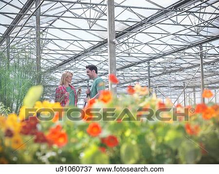 Man and woman smiling in greenhouse View Large Photo Image Stock Photo - Man and woman smiling in greenhouse. Fotosearch