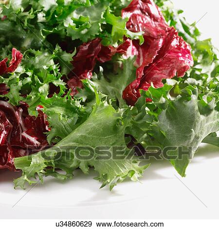 Stock Photo - Mixed salad leaves. Fotosearch