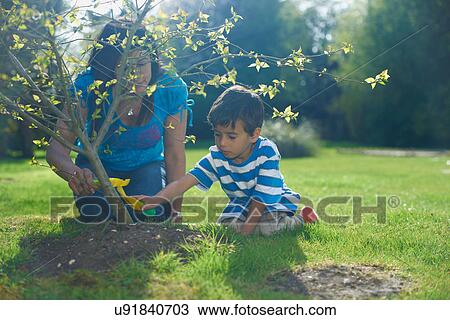 Mother and son planting tree in garden View Large Photo Image Stock Image - Mother and son planting tree in garden. Fotosearch