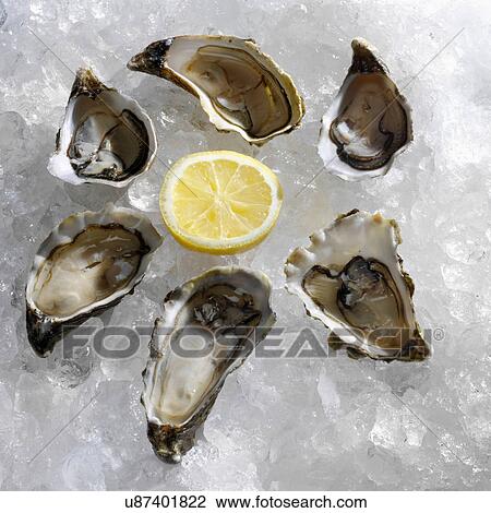 Stock Image - Mussels and lemon on ice. Fotosearch