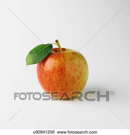One apple on white background View Large Photo Image Stock Photograph - One apple on white background. Fotosearch