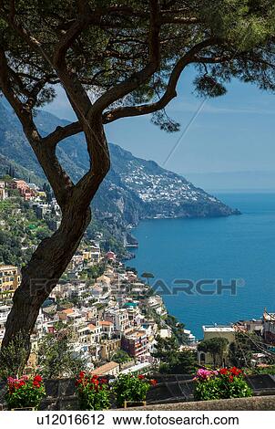 Pine tree and houses on hillside, Positano, Amalfi Peninsula, Campania, Italy View Large Photo Image Stock Image - Pine tree and houses on hillside, Positano, Amalfi Peninsula, Campania, Italy. Fotosearch