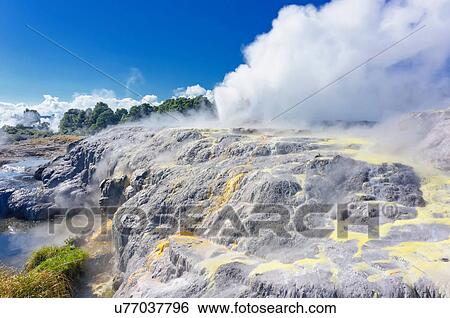 Stock Photograph - Pohutu Geyser and Prince of Wales Geyser, Te Puia, Rotorua, New Zealand. Fotosearch