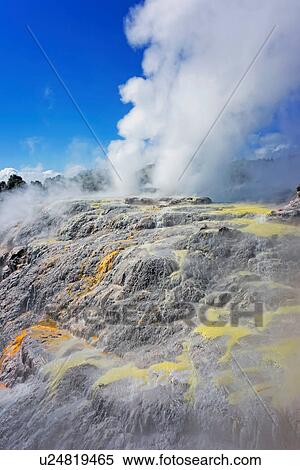 Stock Photography - Pohutu Geyser and Prince of Wales Geyser, Te Puia, Rotorua, New Zealand. Fotosearch