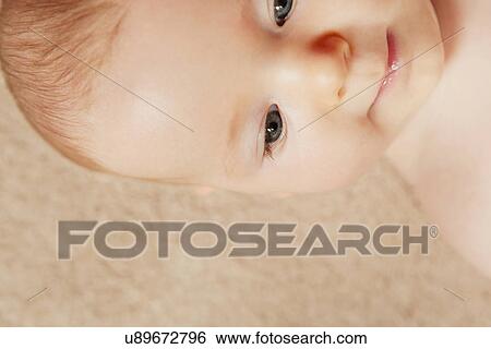 Portrait of baby's fac View Large Photo Image Stock Photograph - Portrait of baby's fac. Fotosearch