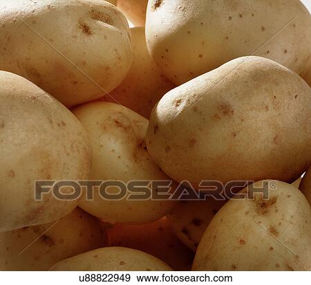 Potatoes View Large Photo Image Stock Photo - Potatoes. Fotosearch
