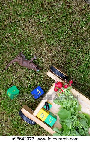 Stock Photo - Push cart and toys in garden. Fotosearch