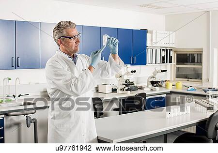 Scientist looking at container in laboratory View Large Photo Image Stock Image - Scientist looking at container in laboratory. Fotosearch