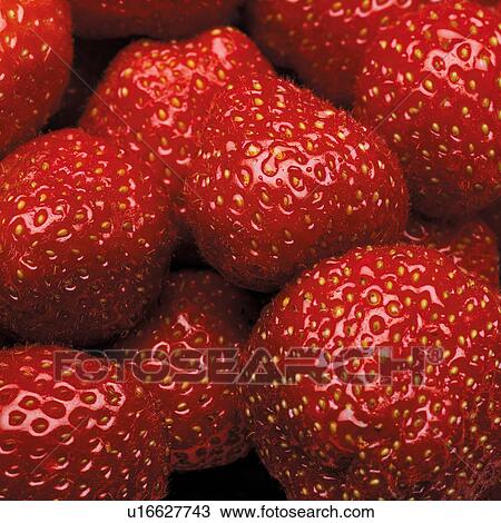 Strawberries View Large Photo Image Stock Image - Strawberries. Fotosearch
