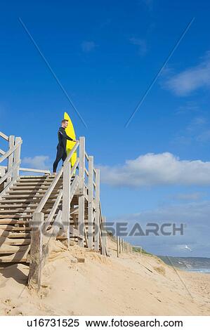 Surfer with surf board on wooden viewing platform by beach View Large Photo Image Stock Photography - Surfer with surf board on wooden viewing platform by beach. Fotosearch