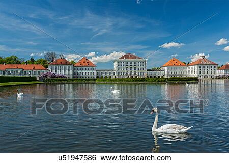 Stock Photograph - Swan in fountain in front of the Nymphenburg Palace, Munich, Bavaria, Germany. Fotosearch