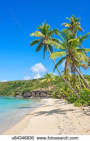 Tropical beach, Yasawa Island Group, Fiji, South Pacific islands View Large Photo Image Stock Image - Tropical beach, Yasawa Island Group, Fiji, South Pacific islands. Fotosearch
