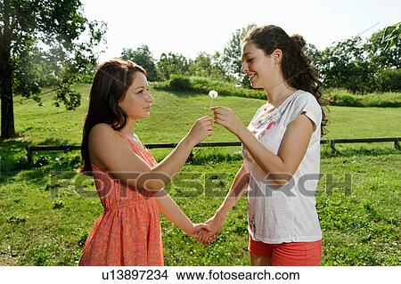 Picture - Two young women holding dandelion clock. Fotosearch