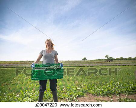 Woman carrying crate of chives View Large Photo Image Stock Image - Woman carrying crate of chives. Fotosearch
