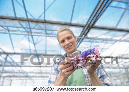 Stock Photo - Woman holding box of edible flowers. Fotosearch