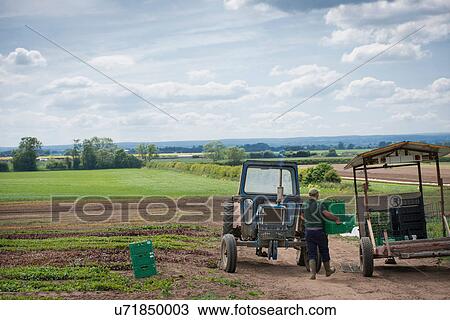 Worker carrying green crates View Large Photo Image Stock Image - Worker carrying green crates. Fotosearch