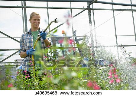 Worker watering flowers View Large Photo Image Stock Photo - Worker watering flowers. Fotosearch