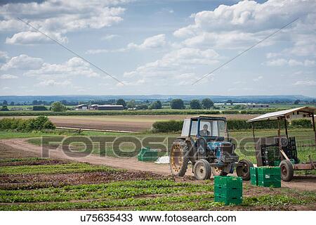 Stock Image - Workers driving tractor. Fotosearch