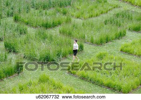 Stock Image - Young office worker strolling through grass maze. Fotosearch