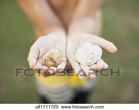 Stock Image - Boy (8-9) holding two shells. Fotosearch