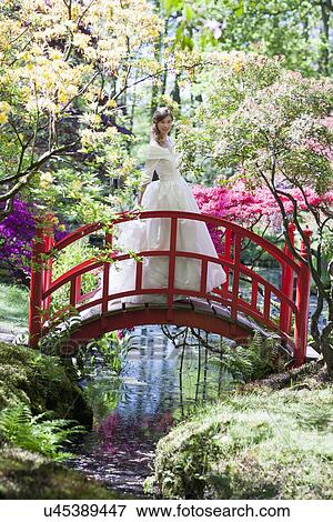 Bride standing on garden bridge View Large Photo Image Stock Photo - Bride standing on garden bridge. Fotosearch