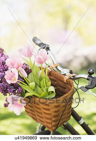 Close-up of flowers in basket View Large Photo Image Stock Photo - Close-up of flowers in basket. Fotosearch