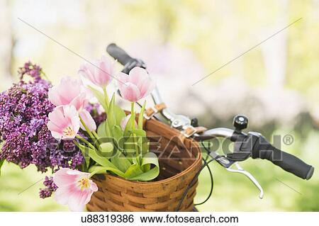 Stock Photograph - Close-up of flowers in basket. Fotosearch