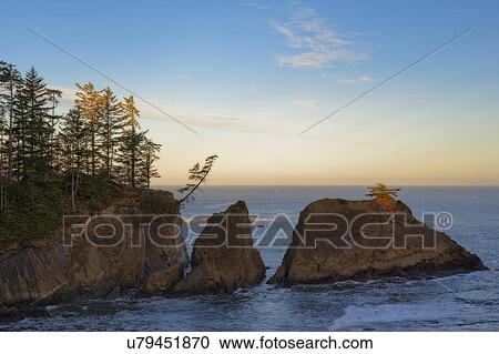 Stock Image - Coos County, Sea stacks. Fotosearch