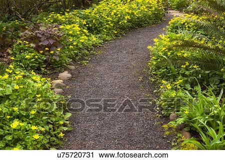 Garden path View Large Photo Image Stock Image - Garden path. Fotosearch
