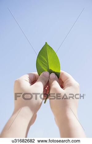 Girl (8-9) holding green leaf against blue sky View Large Photo Image Stock Image - Girl (8-9) holding green leaf against blue sky. Fotosearch