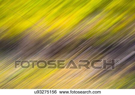 Stock Photograph - Golden abstract. Fotosearch
