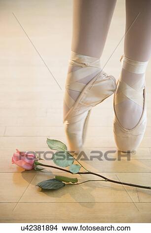 Picture - Low section of ballet dancer (16-17) tiptoing next to rose. Fotosearch