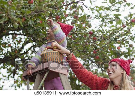 Stock Image - Mother and daughter picking up apples. Fotosearch