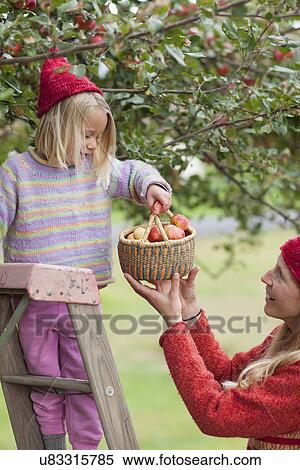 Mother and daughter picking up apples View Large Photo Image Stock Photography - Mother and daughter picking up apples. Fotosearch