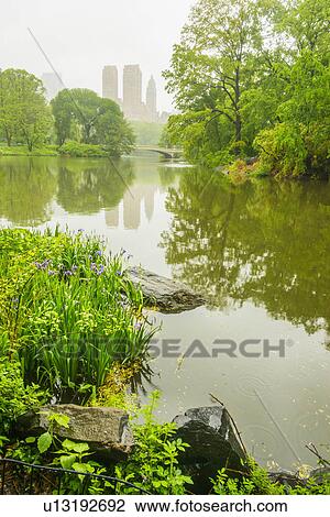 Stock Image - Pond in central park. Fotosearch