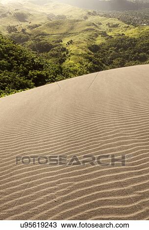 Stock Image - Sand Dunes National Park. Fotosearch