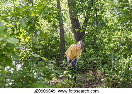 Stock Photography - Senior woman hiking in forest. Fotosearch