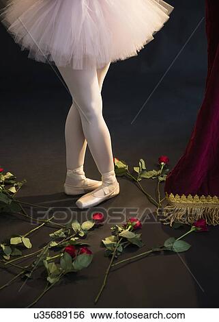 Teenage (16-17) ballerina on stage, roses by her feet View Large Photo Image Stock Photograph - Teenage (16-17) ballerina on stage, roses by her feet. Fotosearch